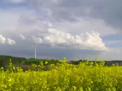 Rape Field and Wind Turbine (Time Lapse) Stock Footage