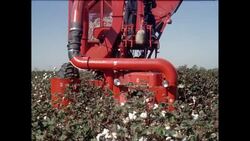 WS Cotton harvesting in cotton field / United States Stock Footage