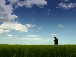 Farming Biofuel Grains Stock Footage
