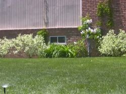 Sprinklers. Agricultural Sprinkler spraying water on back yard green grass. Stock Footage
