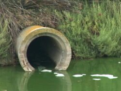 NTSC: Water pollution Stock Footage