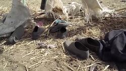 CLEAN : Female bombers attack NE Nigeria village kill two News Clip