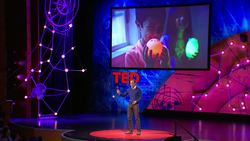 Steve Howard: Let's go all-in on selling sustainability Instructional Video