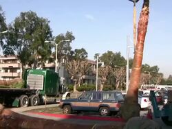 (HD1080i) Crane Lifting / Moving Palm Tree Stock Footage