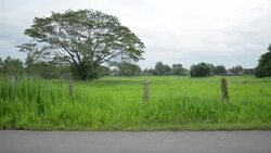 Running Jogging Stock Footage