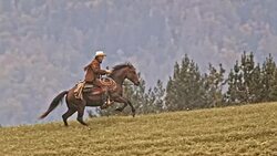 SLO MO TS Cowboy riding his galloping horse uphill Stock Footage
