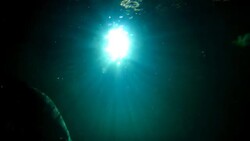 light under water and fish Stock Footage
