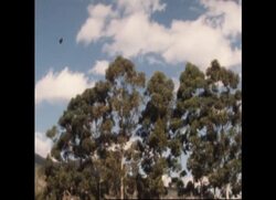 RR7828A RHODESIA REPORT News Clip