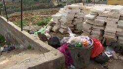 Community group aims to get stray cats and dogs off streets Instructional Video