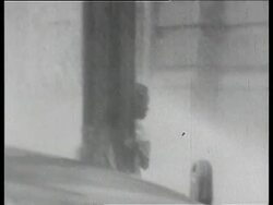 USA Black Revolt News Clip