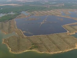 WS AERIAL View of Point of Marsh in Pimlico Sound / North Carolina, United States Stock Footage