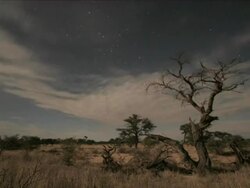 T/L clouds and stars moving over Kalahari at night, South Africa Stock Footage