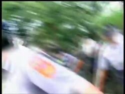 A ten year-old orangutan broke out of its cage and went on a rampage through a Taiwanese tourist park, before being tranquilised and moved to safety. News Clip