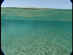 MS semi submerged camera, Bedouin man leading camels out from water, view from behind, Egypt Stock Footage