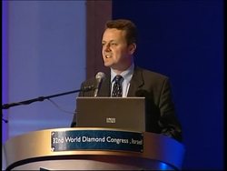 One hundred million dollars worth of diamonds up for auction News Clip