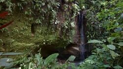 Small waterfall in tropical rainforest in the Ecuadorian Amazon Stock Footage