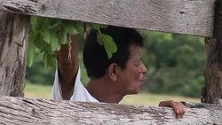 VOICED: Bizarre safari on remote Philippine island News Clip