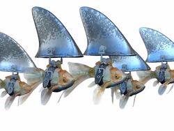 (Loop) Goldfishes disguised as Sharks Stock Footage