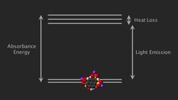 Glowing Plants Instructional Video