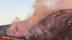 Greek authorities battle wildfire south of Athens Instructional Video