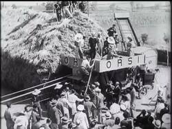 Pontine Marshes - Mussolini works hard. News Clip