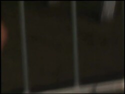 'Forces of Nature' Premiere Stock Footage