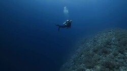 Deep blue sea Stock Footage