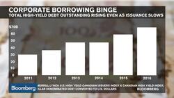 Junk Debt Mountain Hangs Over Corporate Canada News Clip