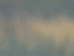 HD: Swamp Stock Footage