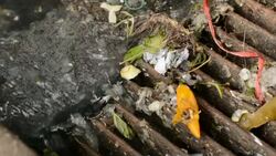 Water pollution to sewer Stock Footage