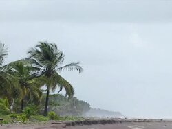 Stormy Beach Stock Footage