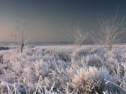Jogging Stock Footage
