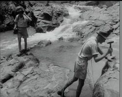 HOLIDAY WITH PROFIT News Clip