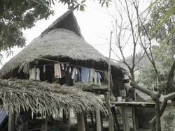 WS TU hut in village / Xam Neua, Laos Stock Footage
