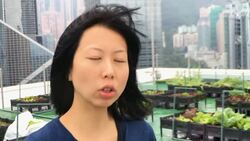 Hong Kong's skyline farms harvest more happiness than food News Clip