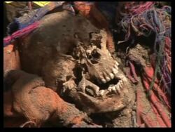 Experts exhume bodies from mass grave News Clip