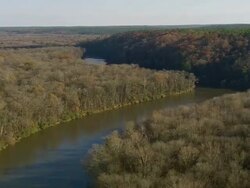 WS AERIAL View of congaree national park / South Carolina, United States Stock Footage