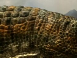 Medium Close Up static - A creature with bumpy skin lumbers through a mountainous region in a computer-generated animation. / New York City, New York, USA Stock Footage