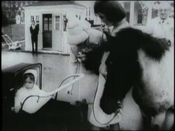 U.S. President John F. Kennedy spends time with his children Caroline and John Kennedy Jr. News Clip