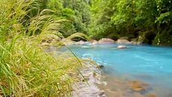 DS Beautiful turquoise river Rio Celeste Stock Footage