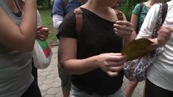 VOICED : Foraging for food in New Yorks parks News Clip