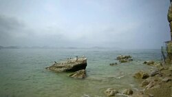 Sea and seagulls Stock Footage