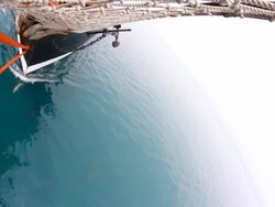 old ship and dolphins Stock Footage