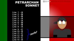 SONNETS - Poetry Defined Instructional Video