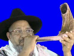 Sounding a shofar Stock Footage
