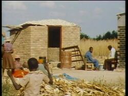 Mugabe At Census Centre, Black Families Living In Countryside,  White Farmers News Clip