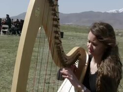 Outdoor Orchestra - Harp Stock Footage