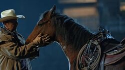 SLO MO Rancher spending time with horse in the evening Stock Footage