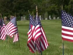 Memorial Day. American flag & culture. War Cemetery. Honor, Patriotism. Stock Footage