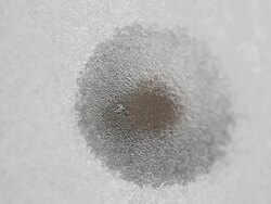 Frozen window Stock Footage